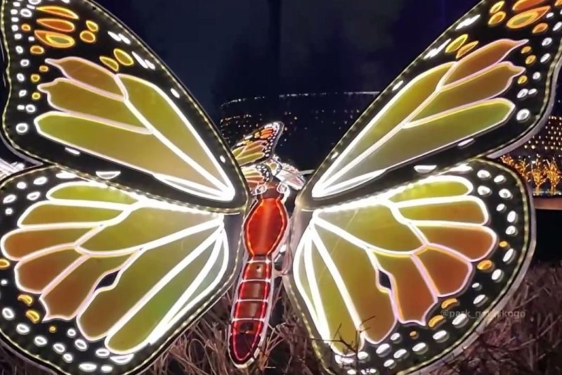 В парке Галицкого «поселились» светящиеся бабочки