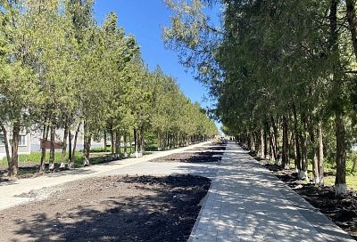 Аллею 35-летия Победы благоустраивают по нацпроекту в Гулькевичском районе 