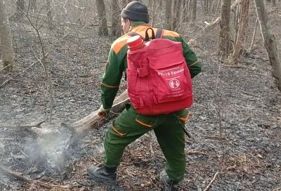 Под Новороссийском потушили лесной пожар