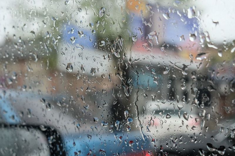 Температурный скачок до +15 ожидается на Кубани: потепление придет с сильными дождями