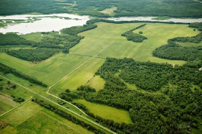 Жители Краснодарского края подали заявки на дальневосточный гектар в Забайкалье