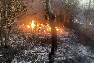 Лесной пожар потушили в Геленджике