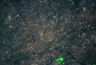 Стало известно, когда в Сочи ослабеют осадки и потеплеет