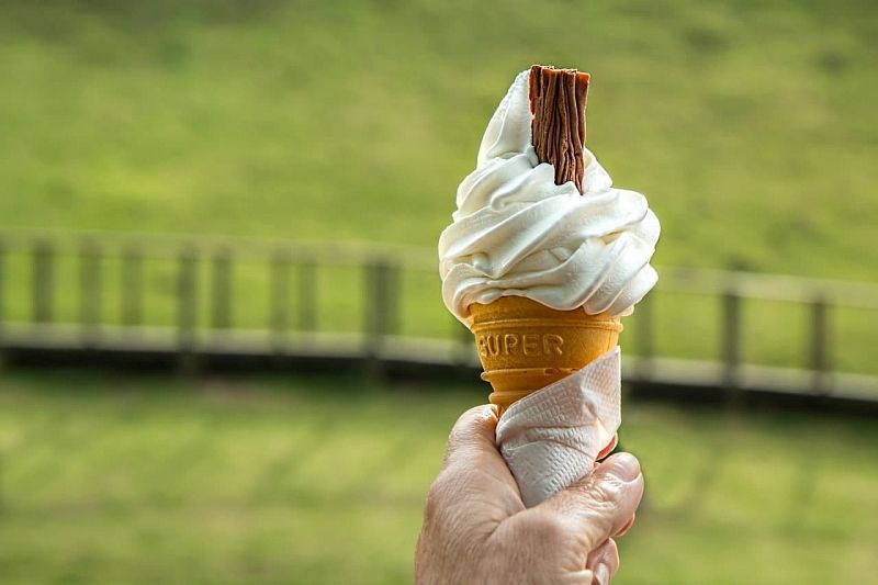 Пломбир, щербет или фруктовый лед: выбираем мороженое с диетологом