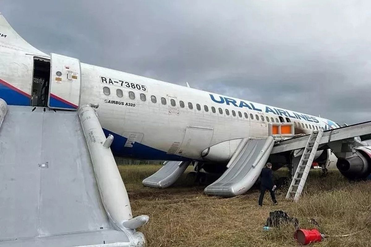 Росавиация возобновила расследование посадки самолета Сочи - Омск в пшеничном поле