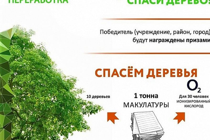 В Краснодарском крае стартовал эко-марафон «Сдай макулатуру – спаси дерево»