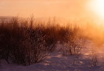 Народные приметы на сегодня – 26 февраля, что можно и нельзя делать в Мартынов день по народному календарю