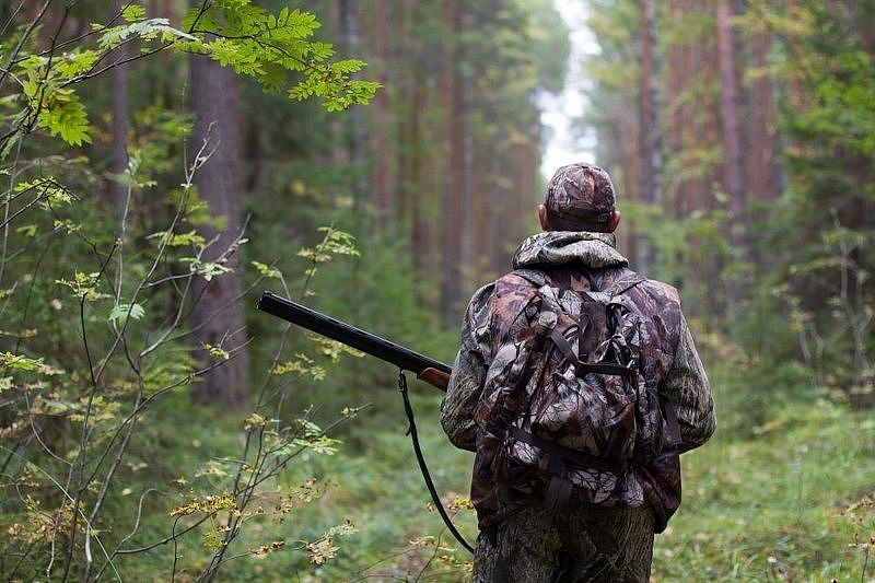 В России могут ужесточить процедуру получения охотничьего билета 