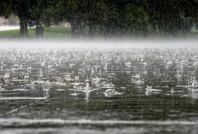 Синоптики предупредили о похолодании и ливневых дождях в Краснодарском крае
