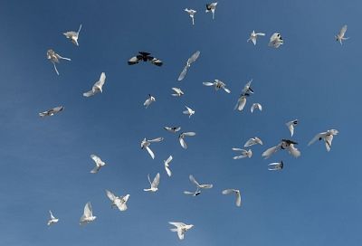 Идите все в поле: что можно и нельзя делать 14 мая - в день Еремея Запашника
