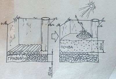 Сажаю виноград по этому методу, и у меня получается сильный, устойчивый виноградник, его даже близко нельзя сравнить с посаженным в простые ямы – все мастера единодушны в этом