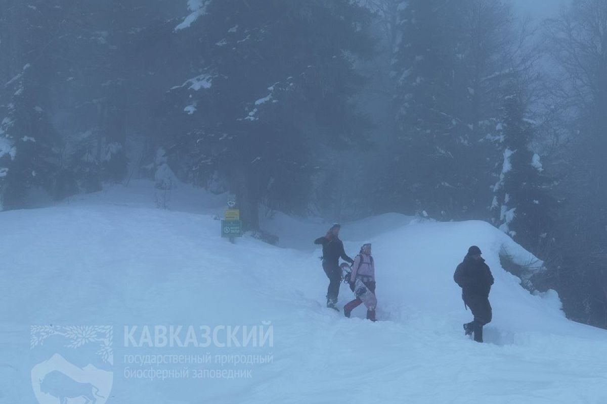 Райдеры пробрались на закрытый маршрут Кавказского заповедника. Им грозит штраф