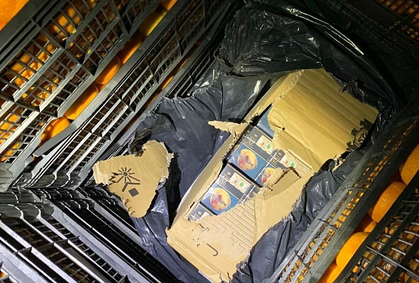 В Сочи таможенники нашли 200 тысяч пачек сигарет в фуре с мандаринами