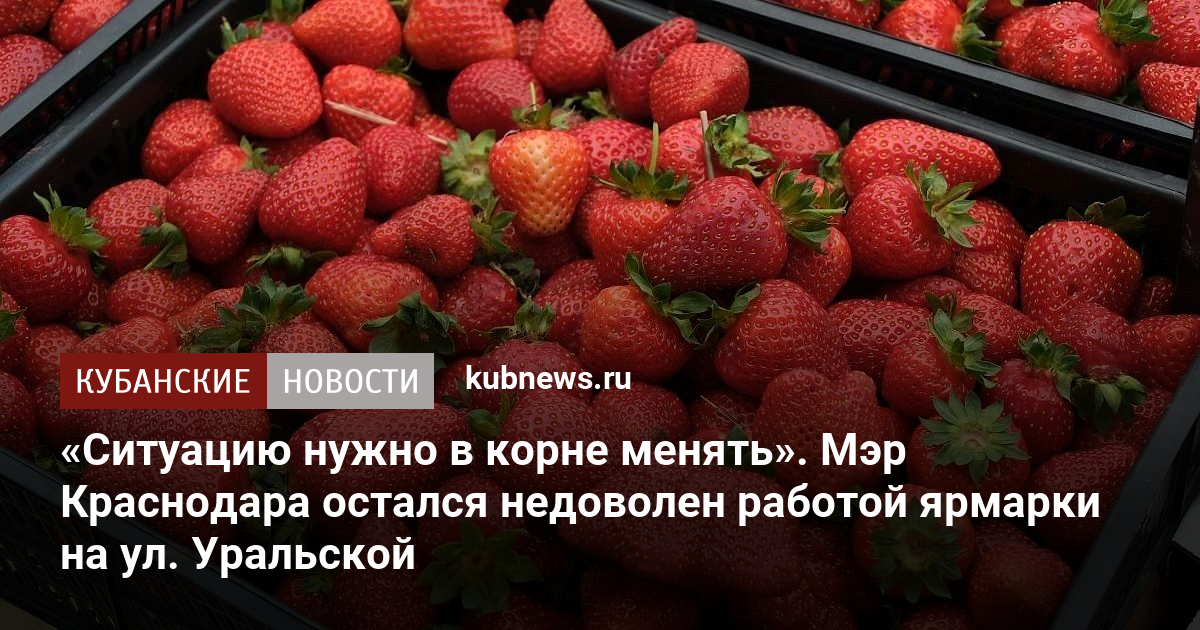 «Ситуацию нужно в корне менять». Мэр Краснодара остался недоволен работой ярмарки на ул. Уральской