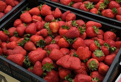 «Ситуацию нужно в корне менять». Мэр Краснодара остался недоволен работой ярмарки на ул. Уральской