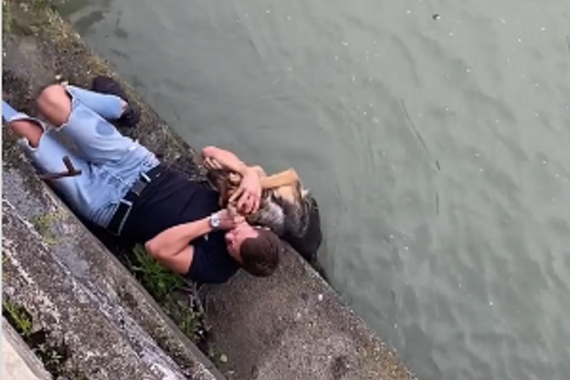 Тонущую в сочинской реке собаку спасли прохожие