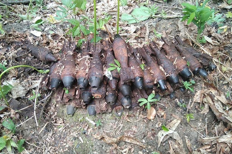 В Краснодарском крае росгвардейцы уничтожили 43 боеприпаса времен Великой Отечественной войны