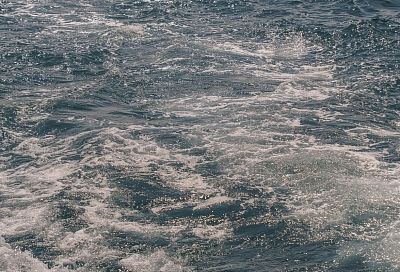 Шесть безэкипажных катеров ВСУ ликвидированы за сутки в акватории Черного моря 