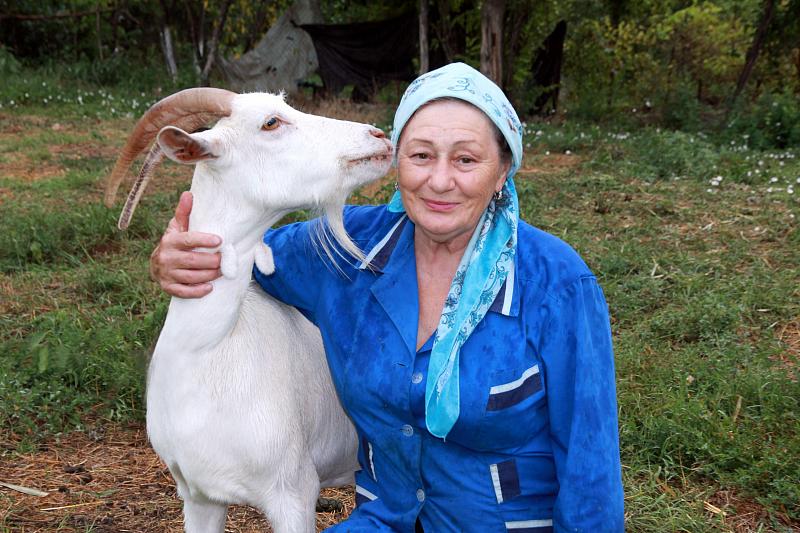 Фермер из кубанской станицы рассказала о любимых духах её коз 