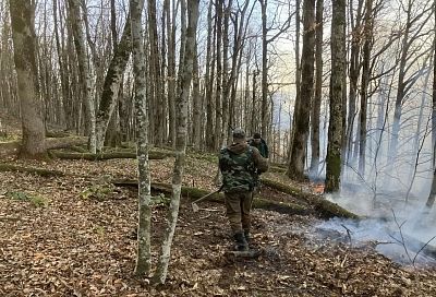 Лесной пожар в Туапсинском округе потушили