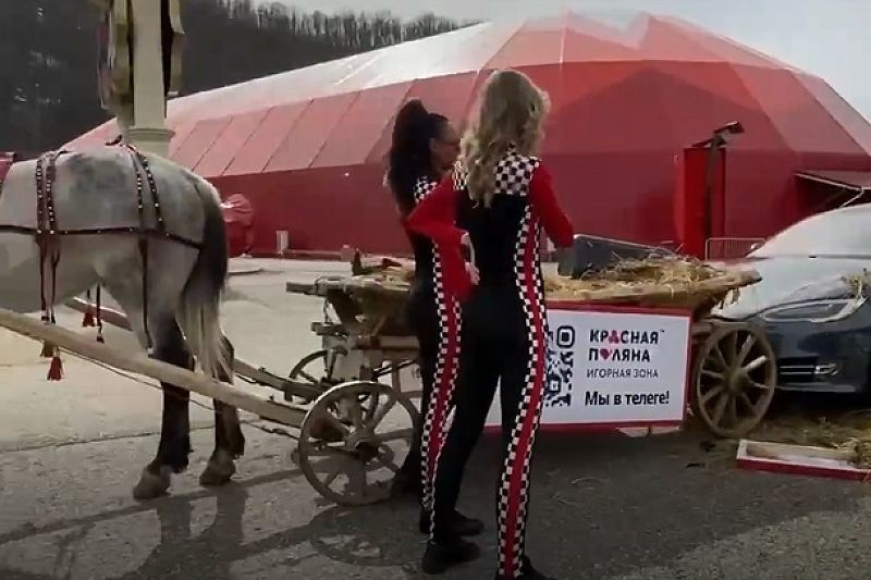 ДТП c Tesla и телегой c лошадью в Сочи оказалось съемкой рекламы
