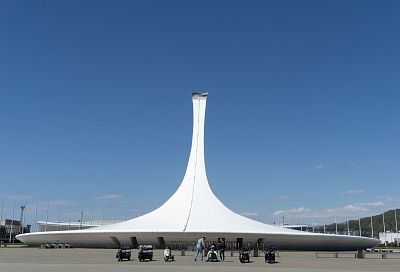 В Сириусе запустили сервис для подбора добровольцев в клинические исследования