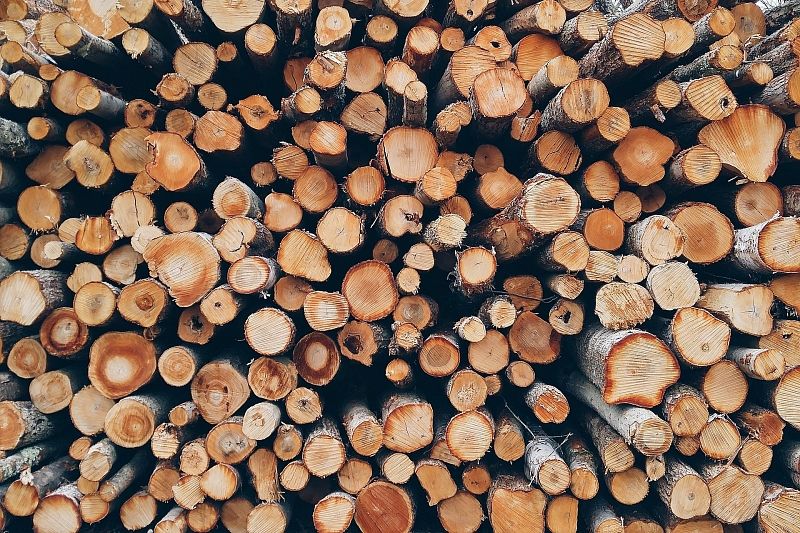 В Краснодарском крае выявили контрабанду лесоматериалов в Китай на 20 млн рублей