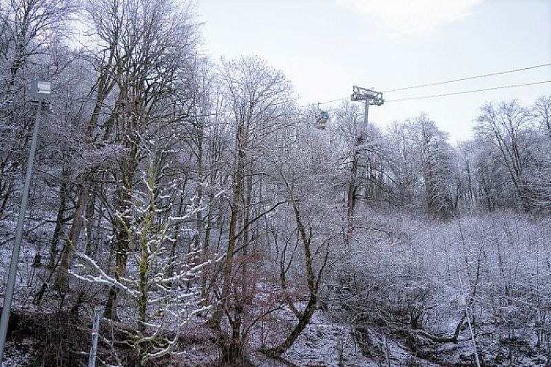 Предупреждение о мокром снеге в горах Сочи продлено