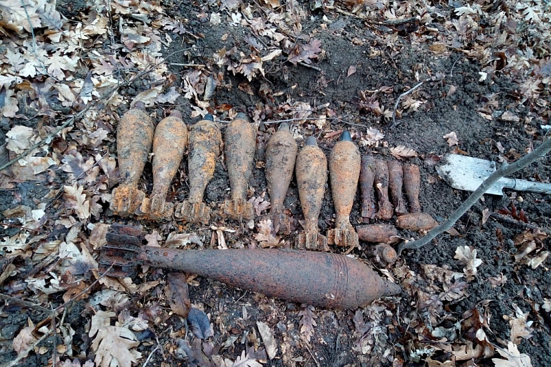 В Краснодарском крае в лесу обнаружены боеприпасы времен Великой Отечественной войны 