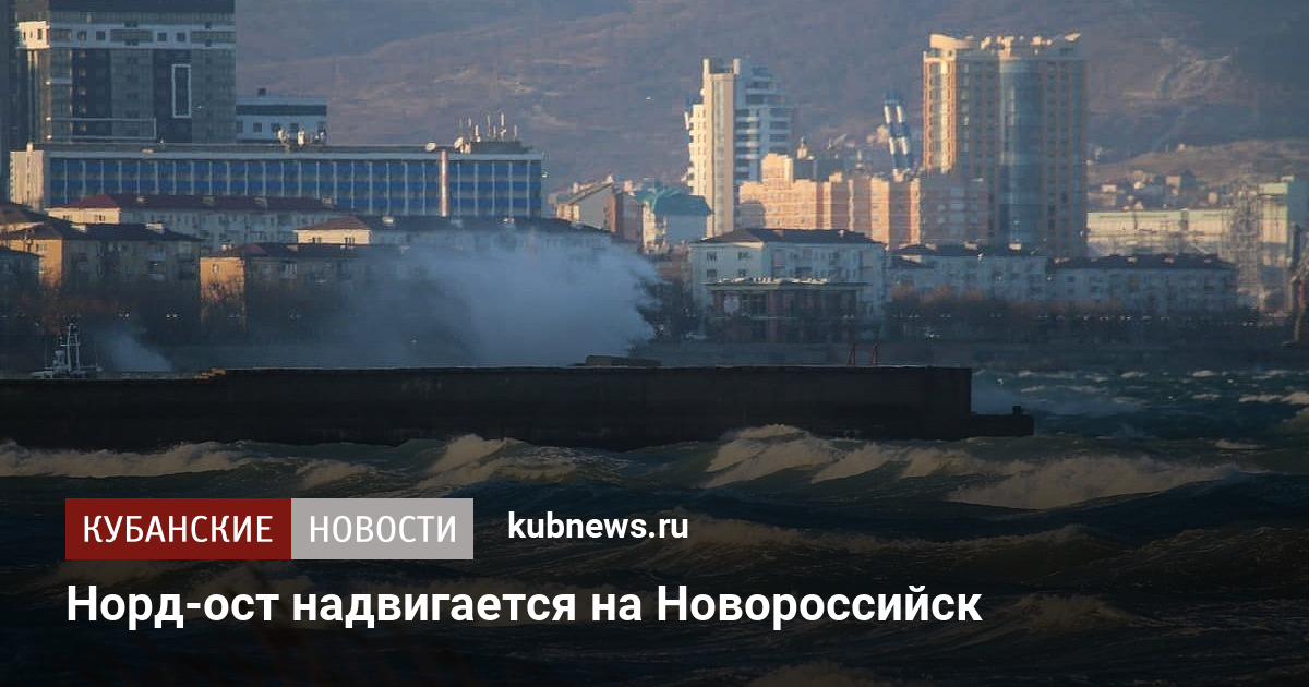 Погода в новороссийске 2024. Карта Норд оста в Новороссийске. Ветер Норд-ОСТ В Новороссийске карта погоды.