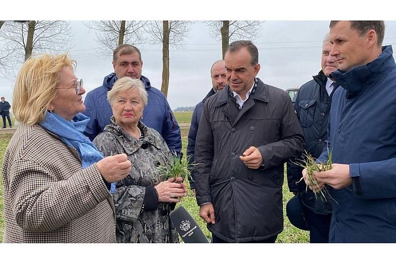 Губернатор Кубани Вениамин Кондратьев оценил состояние посевов озимой пшеницы в Каневском районе