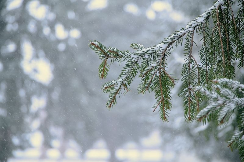 Снегопады и сильные дожди ударят по Краснодарскому краю: когда испортится погода