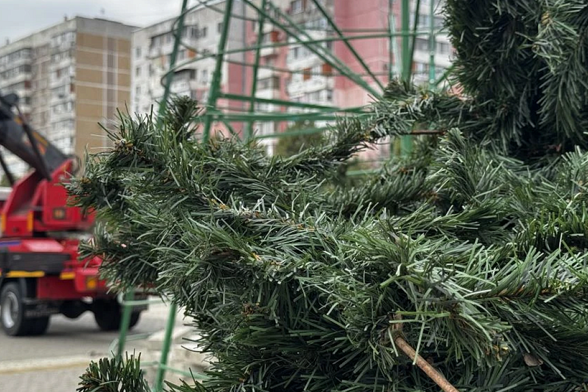 Первую новогоднюю елку установили в Краснодаре