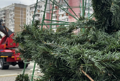 Первую новогоднюю елку установили в Краснодаре