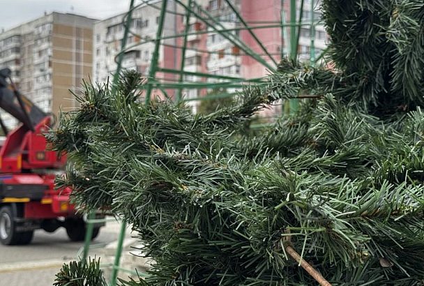 Первую новогоднюю елку установили в Краснодаре