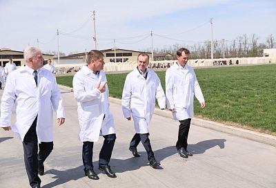 Губернатор Кубани Вениамин Кондратьев посетил молочную ферму в Каневском районе
