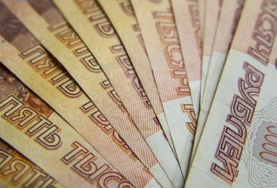 Мизулину попросили отчитаться за 200 млн казенных рублей