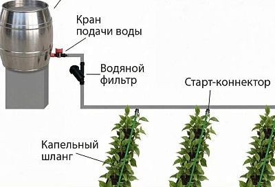 Поднимаю бочку и делаю капельный полив, как на рисунке — вода идёт сама