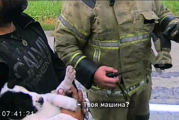 Водитель и щенок спаслись из ехавшего из Краснодарского края загоревшегося грузовика