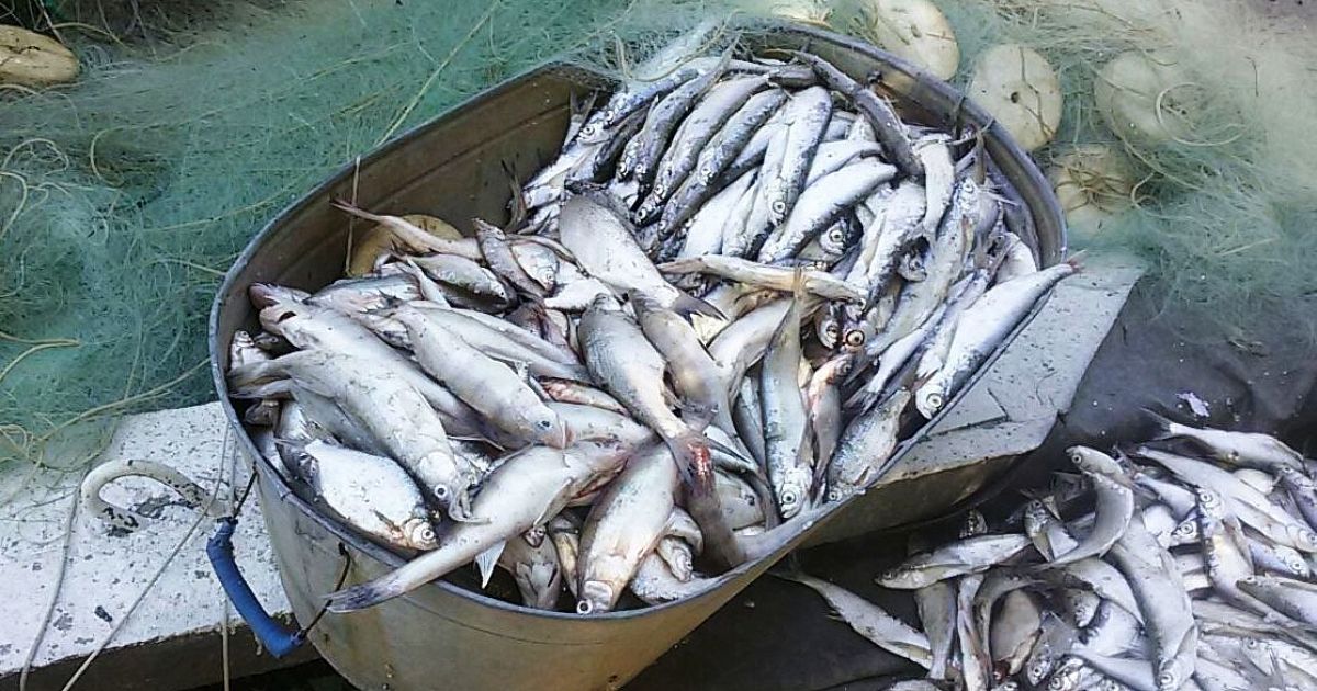 Ловля рыбы в краснодарском крае
