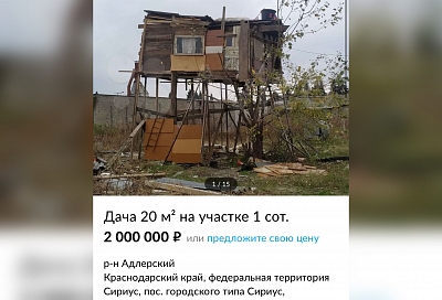 В Сириусе «домик на дереве» продают за 2 млн рублей