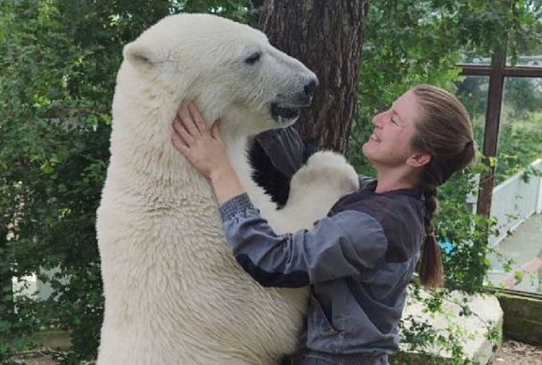 Белого медвежонка из сафари-парка Геленджика перевезли в Красноярск