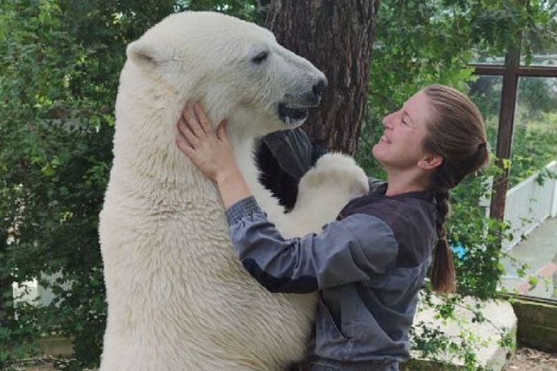 Белого медвежонка из сафари-парка Геленджика перевезли в Красноярск