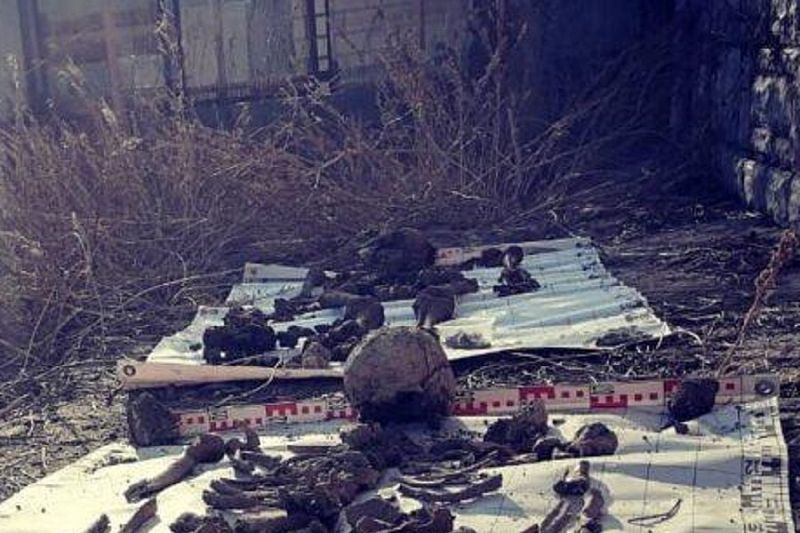 Останки четырех красноармейцев обнаружила на своем участке жительница Новороссийска 