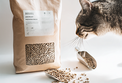 Перестала покупать дорогой наполнитель для кошачьего туалета — и это лучшее решение