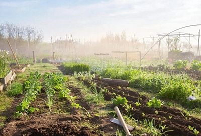 Секрет идеального компоста: как с помощью золы улучшить его качество