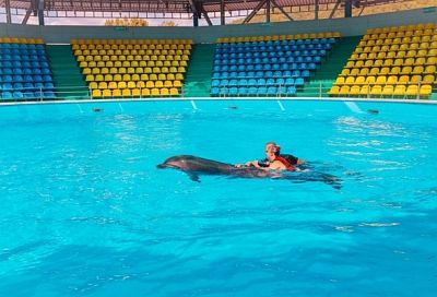 Офицеры краевого СК исполнили мечту 12-летней девочки из Краснодара поплавать с дельфинами