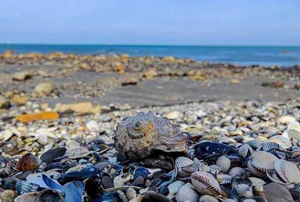 Таманская Швейцария: живописный пеший маршрут открыли в Темрюкском районе
