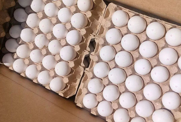 Более 14,5 млн куриных яиц ввезли в Россию из Турции через порт Новороссийска с начала 2024 года