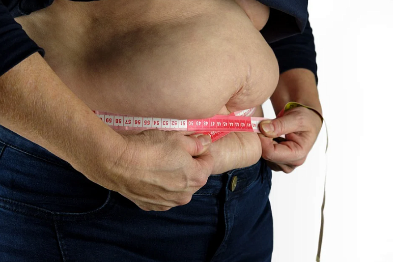 Ученые «Сириуса» приступили к разработке препарата для борьбы с ожирением